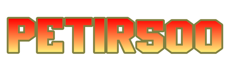 PETIR500 Logo